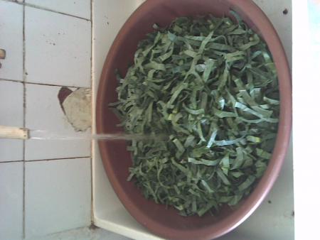 abelboul dlekroureb9